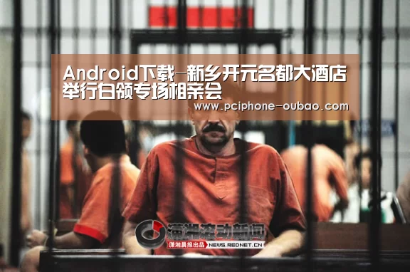 Android下载-新乡开元名都大酒店举行白领专场相亲会