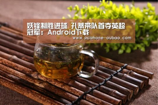妖锋制胜进球 孔蒂带队首夺英超冠军：Android下载