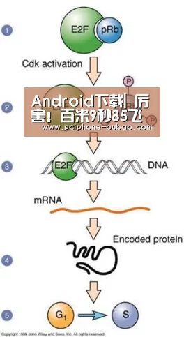 Android下载|
厉害!百米9秒85飞人8次刷新赛季最佳结果 实力强于谢震业(图2) iOS下载
