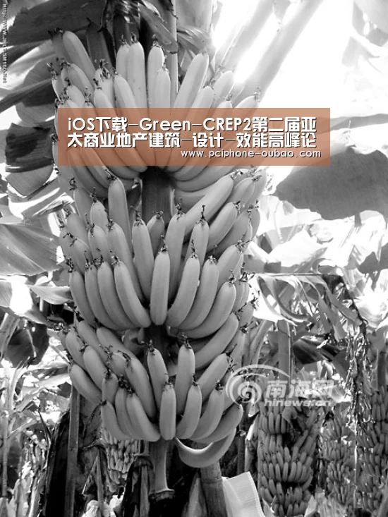 APP下载
