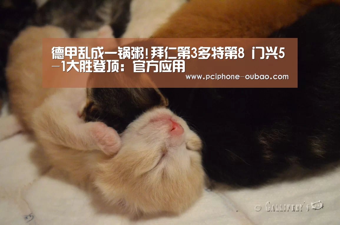德甲乱成一锅粥!拜仁第3多特第8 门兴5-1大胜登顶:官方应用(图4) Android下载