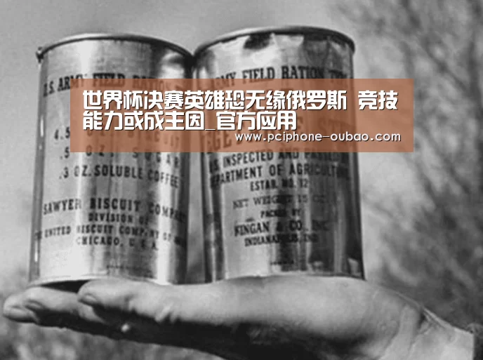世界杯决赛英雄恐无缘俄罗斯 竞技能力或成主因_官方应用(图3) APP下载