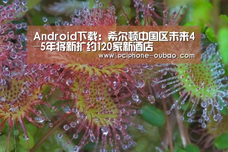 iOS下载