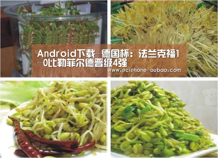 Android下载-德国杯：法兰克福1-0比勒菲尔德晋级4强