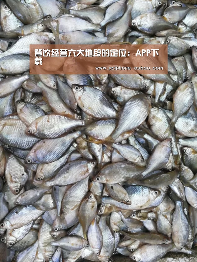 餐饮经营六大地段的定位：APP下载